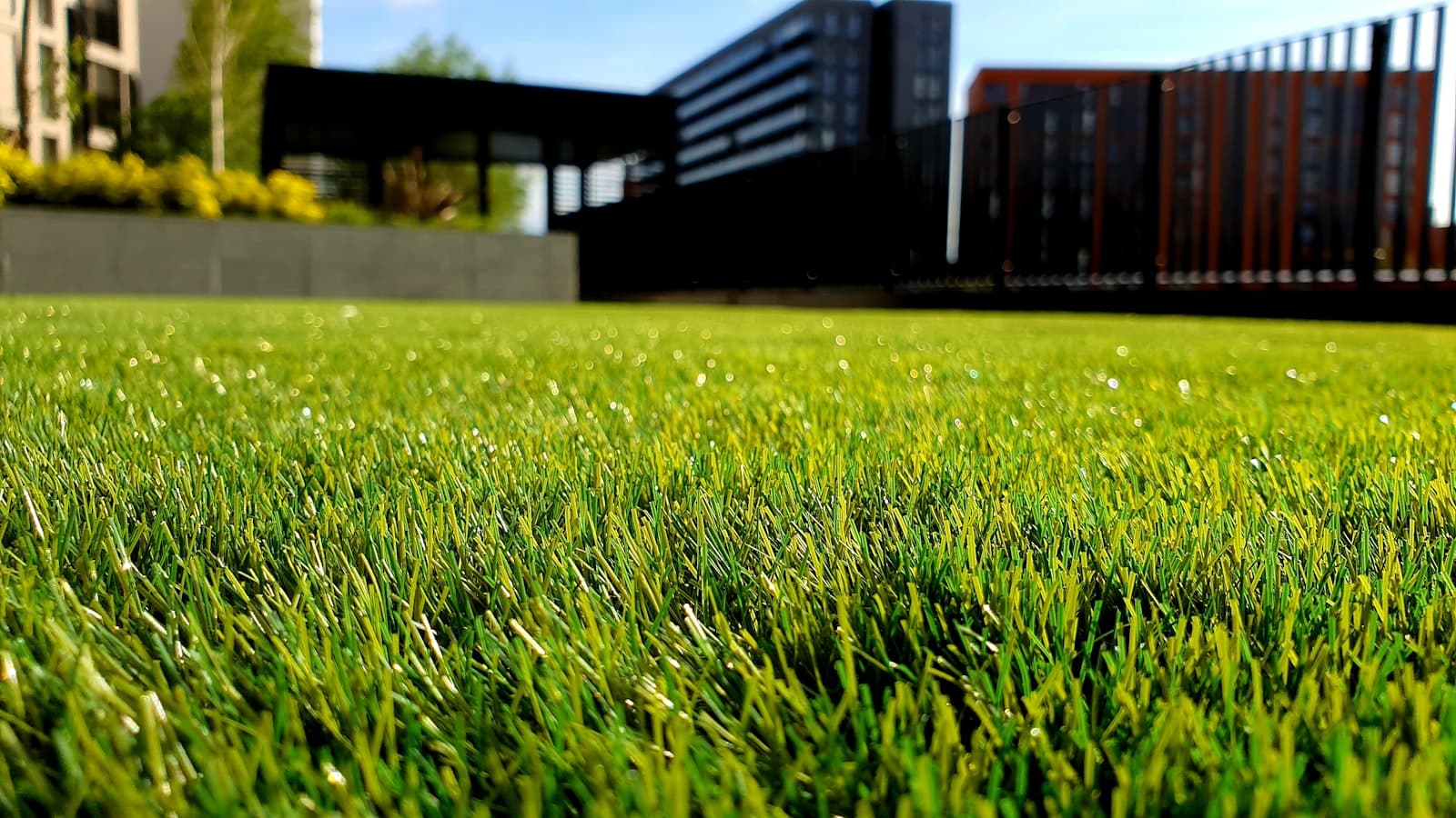 A freshly cut, healthy green lawn